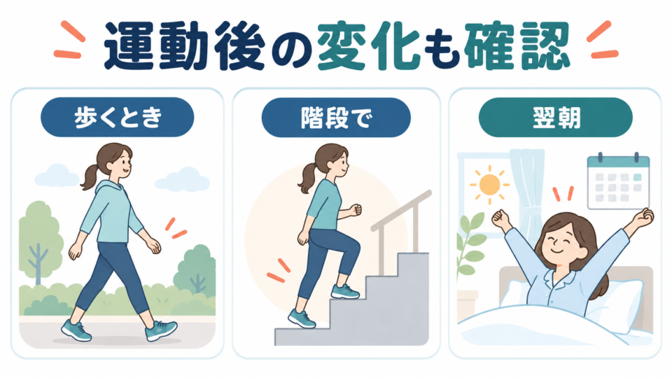 歩行時、階段、翌朝の変化を確認する三つの場面