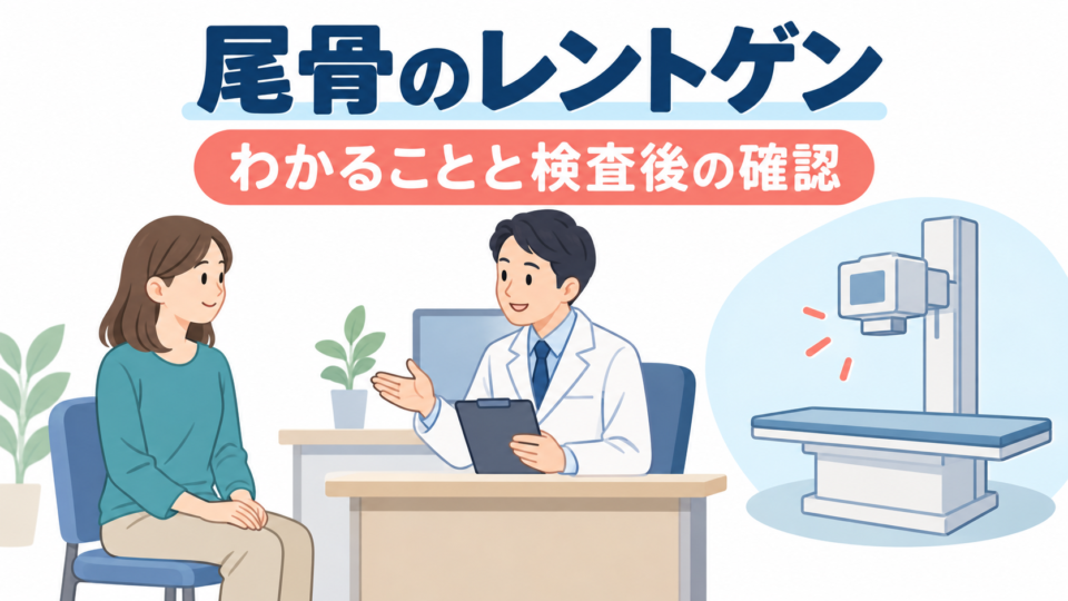 尾骨のレントゲンでわかることと検査後の確認について相談する説明用イラスト