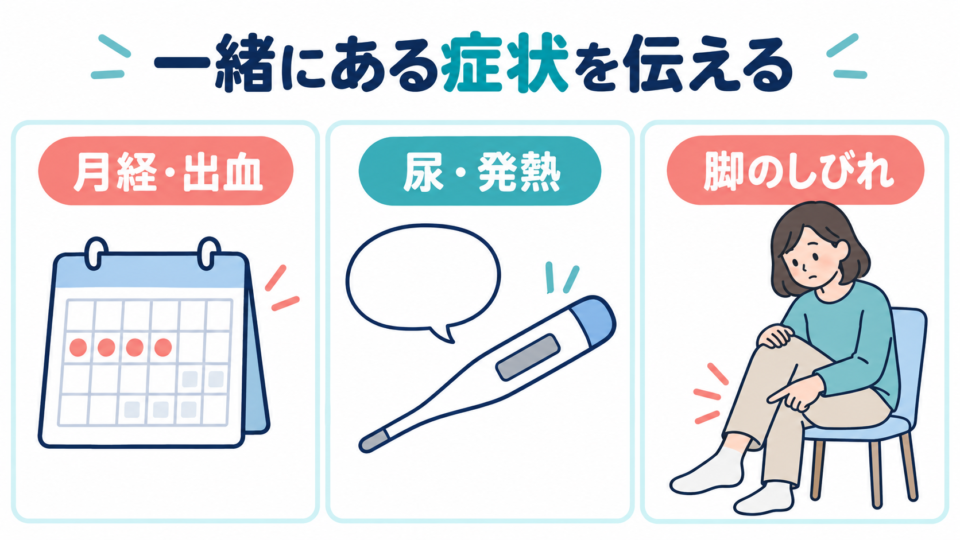 月経や出血、尿や発熱、脚のしびれを腰痛と一緒に伝える確認項目