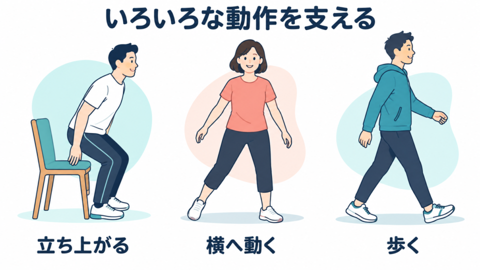 立ち上がる、横へ動く、歩くという三つの日常動作