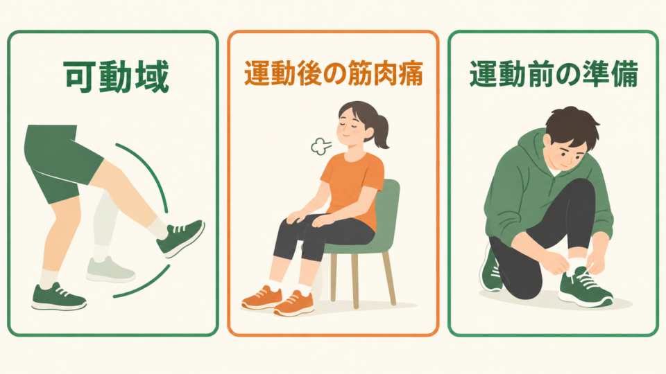可動域、運動後の筋肉痛、運動前の準備という異なる評価項目を示す図