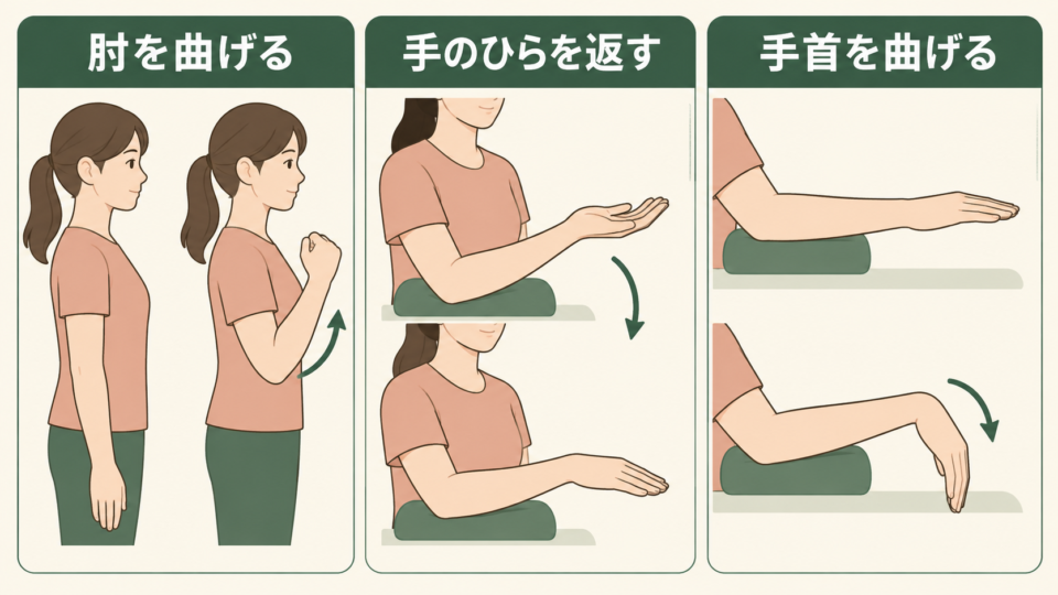 肘を曲げる、手のひらを返す、手首を曲げるという三つの異なる動きを示す図