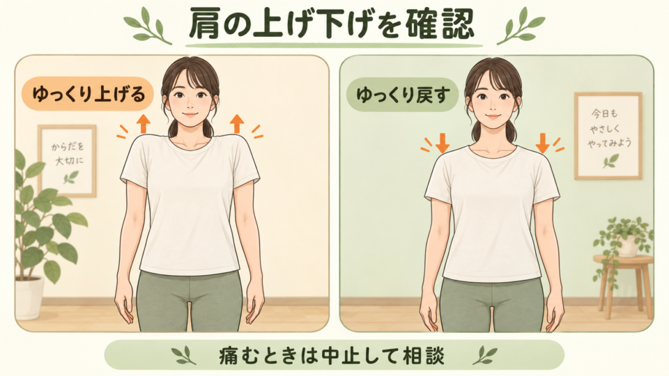 重りを持たずに肩をゆっくり上げて戻す動きの説明イラスト