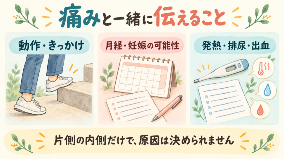動作、月経や妊娠の可能性、発熱や排尿の変化を伝える図